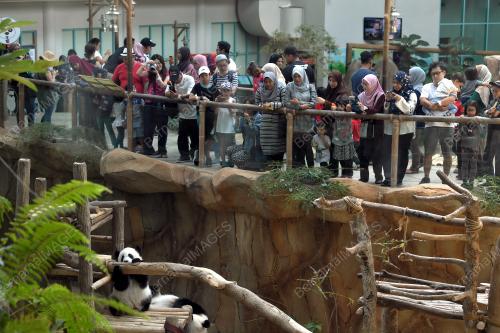 KL10_03022019_ZOO_NEGARA