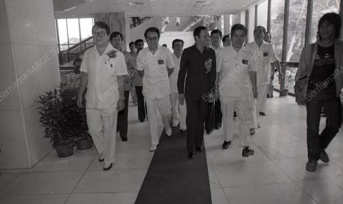 MUSA HITAM