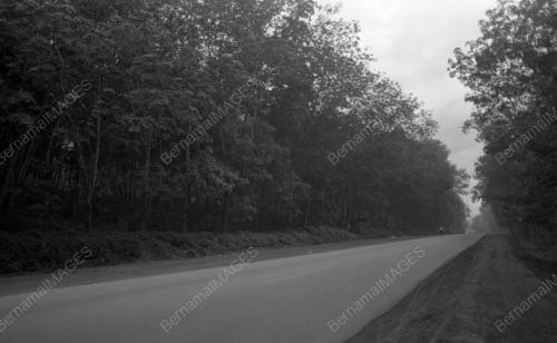 KL10_04022015_LADANG_GETAH