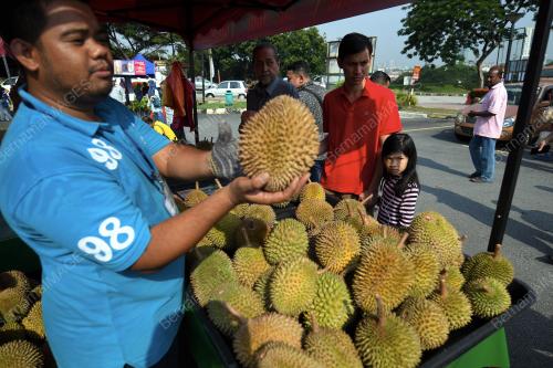 KL10_04082018_DURIAN_BN