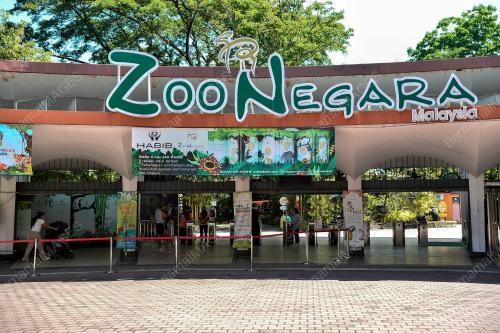TINJAUAN HARI PERTAMA ZOO NEGARA DIBUKA SEMULA SEMPENA PKPB
