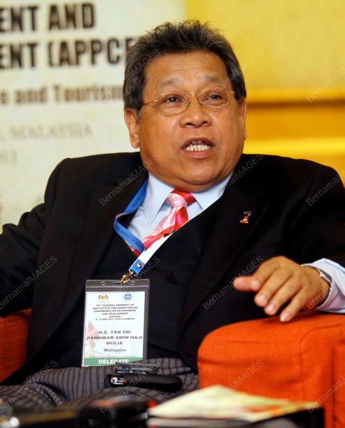 TAN SRI PANDIKAR AMIN MULIA