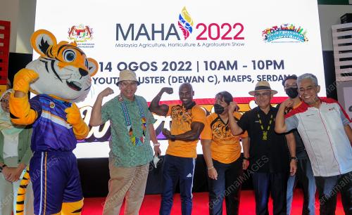 TAN SRI ANNUAR MUSA