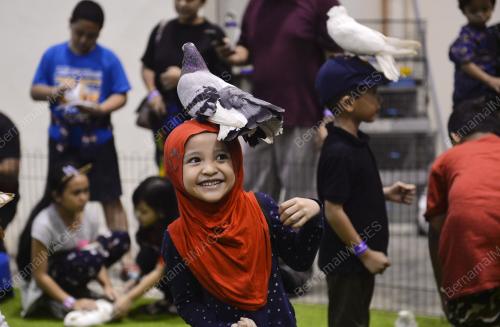 KL10_07102018_PET_EXPO