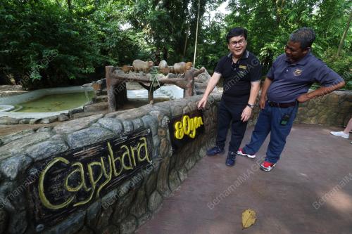 OYEN DI ZOO NEGARA