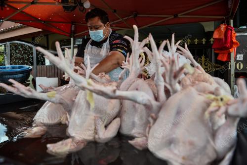 TINJAUAN BEKALAN AYAM MENTAH
