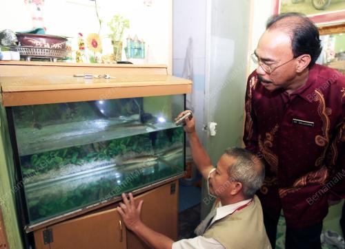 SALLEHUDIN ABU BAKAR