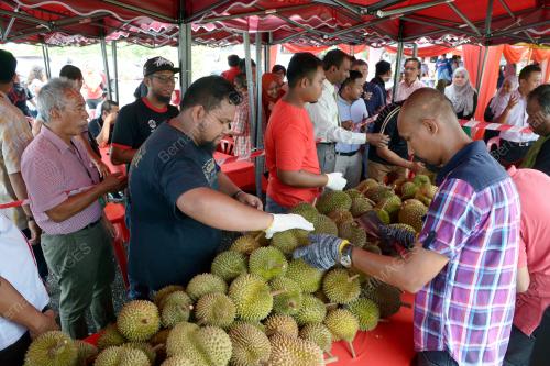 KL10_10082016_DURIAN_UPM