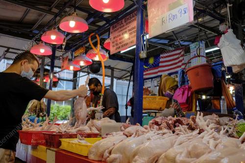 TINJAUAN HARGA AYAM BERSIH