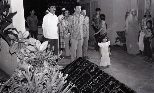 MUSA HITAM