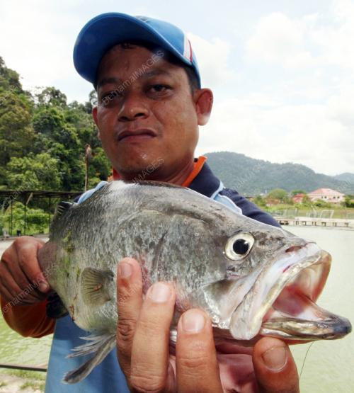 KAKITANGAN KKB BERNAMA