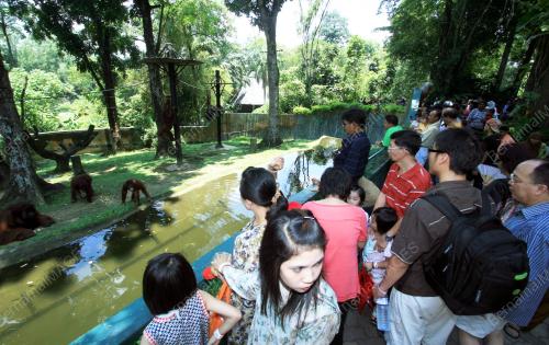 ZOO_TUMPUAN