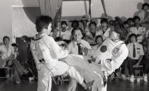TAEKWONDO