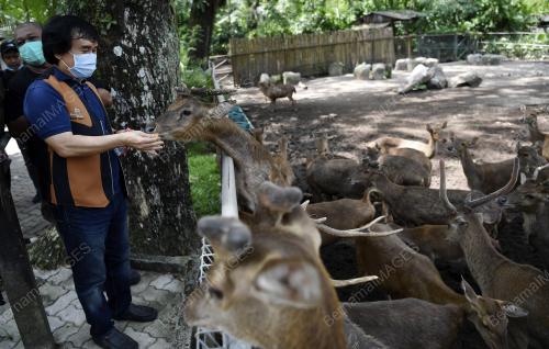 ZOO NEGARA PERLUKAN SUMBANGAN MAKANAN SEPANJANG TEMPOH PKP