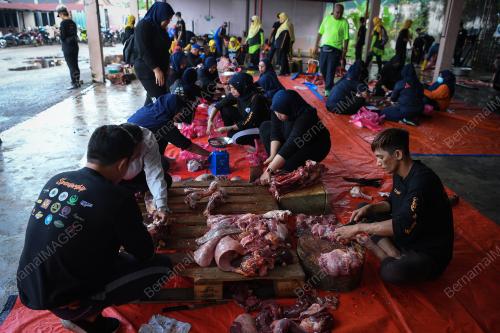 PROGRAM IBADAH KORBAN APM