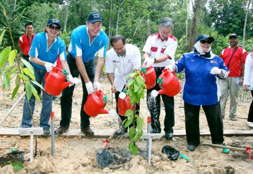 TANAM POKOK
