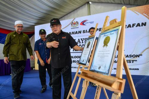 DATUK SERI DR AHMAD HAMZAH