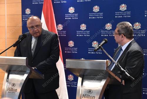 SAMEH HASSAN SHOUKRY