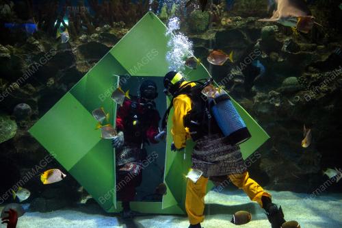 KL10_16062018_AQUARIA