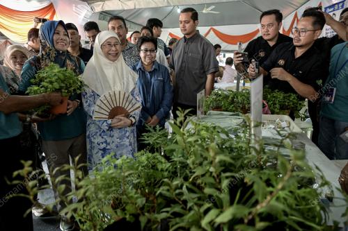 DATUK SERI DR WAN AZIZAH WAN ISMAIL