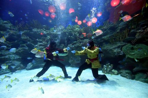 KL10_17022018_AQUARIA