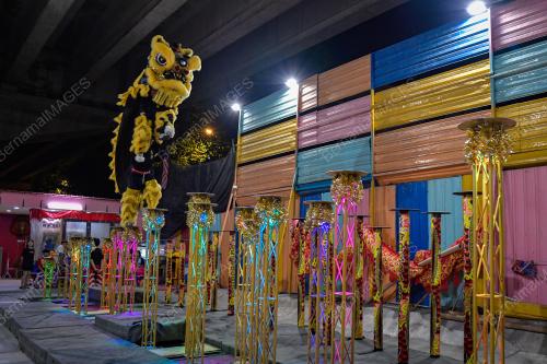TECK SENG DRAGON & LION DANCE