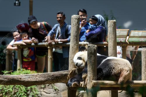KL10_18022018_ZOO_BN201802179182