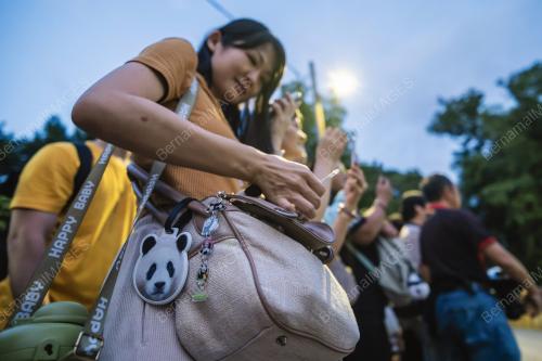 PENGHANTARAN PULANG PASANGAN PANDA GERGASI, FU WA DAN FENG