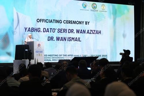 DATUK SERI DR WAN AZIZAH WAN ISMAIL