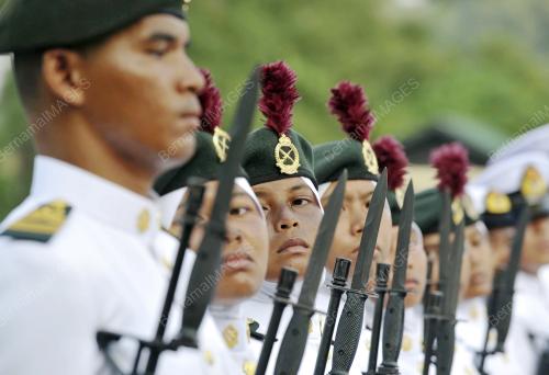 KL10_20082016_IPTA_PALAPES