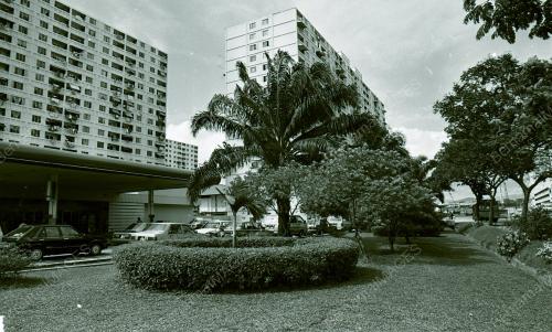 KL10_220690_BUNGA