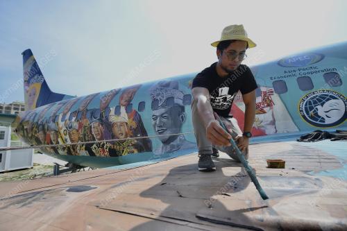MURAL BOEING 737