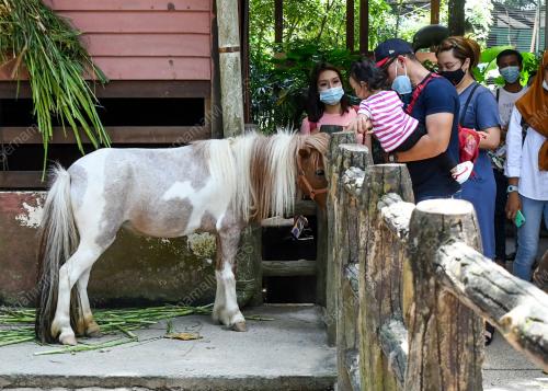 TINJAUAN ZOO NEGARA MENGIKUT SOP