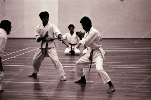 SENI SILAT POLIS