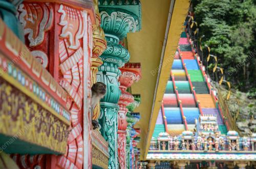 TINJAUAN THAIPUSAM
