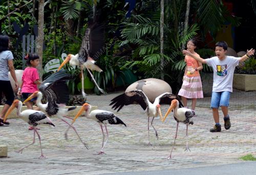 KL10_25092015_ZOONEGARA