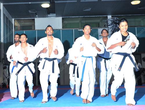 KARATE_