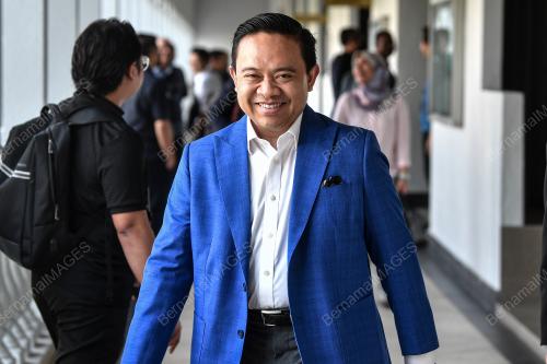 DATUK WAN SAIFUL WAN JAN