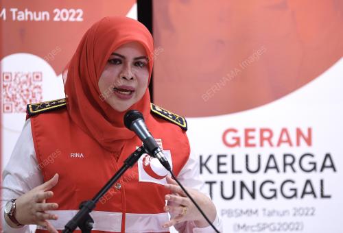 DATUK SERI RINA HARUN