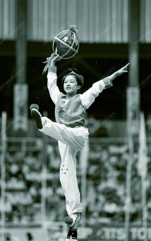 PESTA KEJOHANAN WUSHU