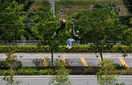 SKYLINE LUGE