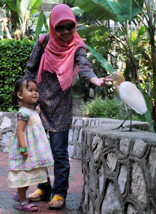 KL10_28022015_TAMAN_BURUNG
