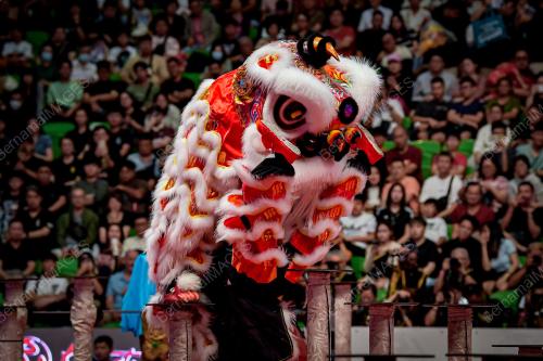 THE 15TH GENTING WORLD LION DANCE CHAMPIONSHIP