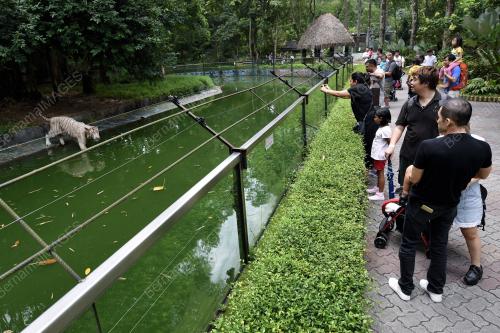 KL10_29052018_ZOO_BN201805289537