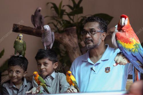 KL10_30122018_TAMAN_BURUNG