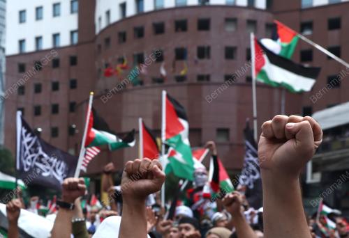 HIMPUNAN SOLIDARITI PALESTIN