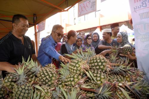KL11_01032019_FAMA_BN201902281982