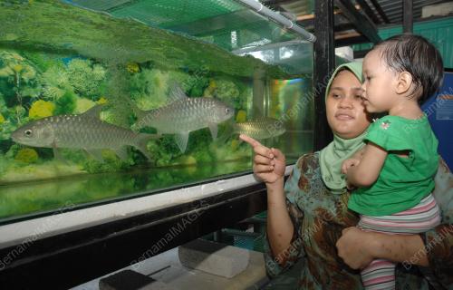 GALERI KELAH