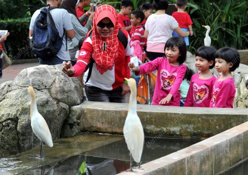 KL11_02022014_TAMAN_BURUNG