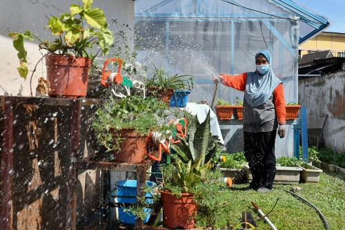 TINJAUAN PERINTAH KAWALAN PERGERAKAN